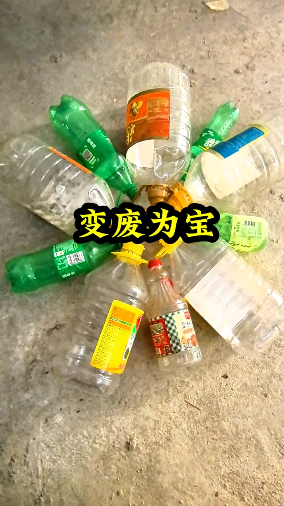 塑料瓶变废为宝做花盆鱼缸主页有视频教程#变废为宝