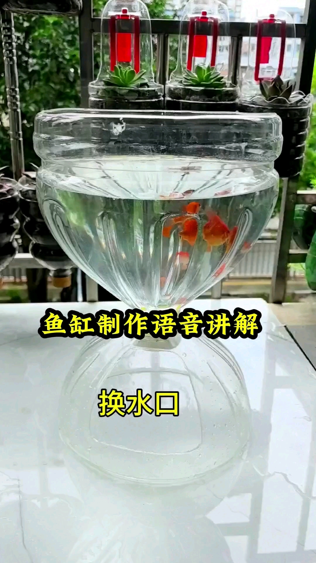 塑料瓶变废为宝制作鱼缸语音讲解#手工#鱼缸DIY教程