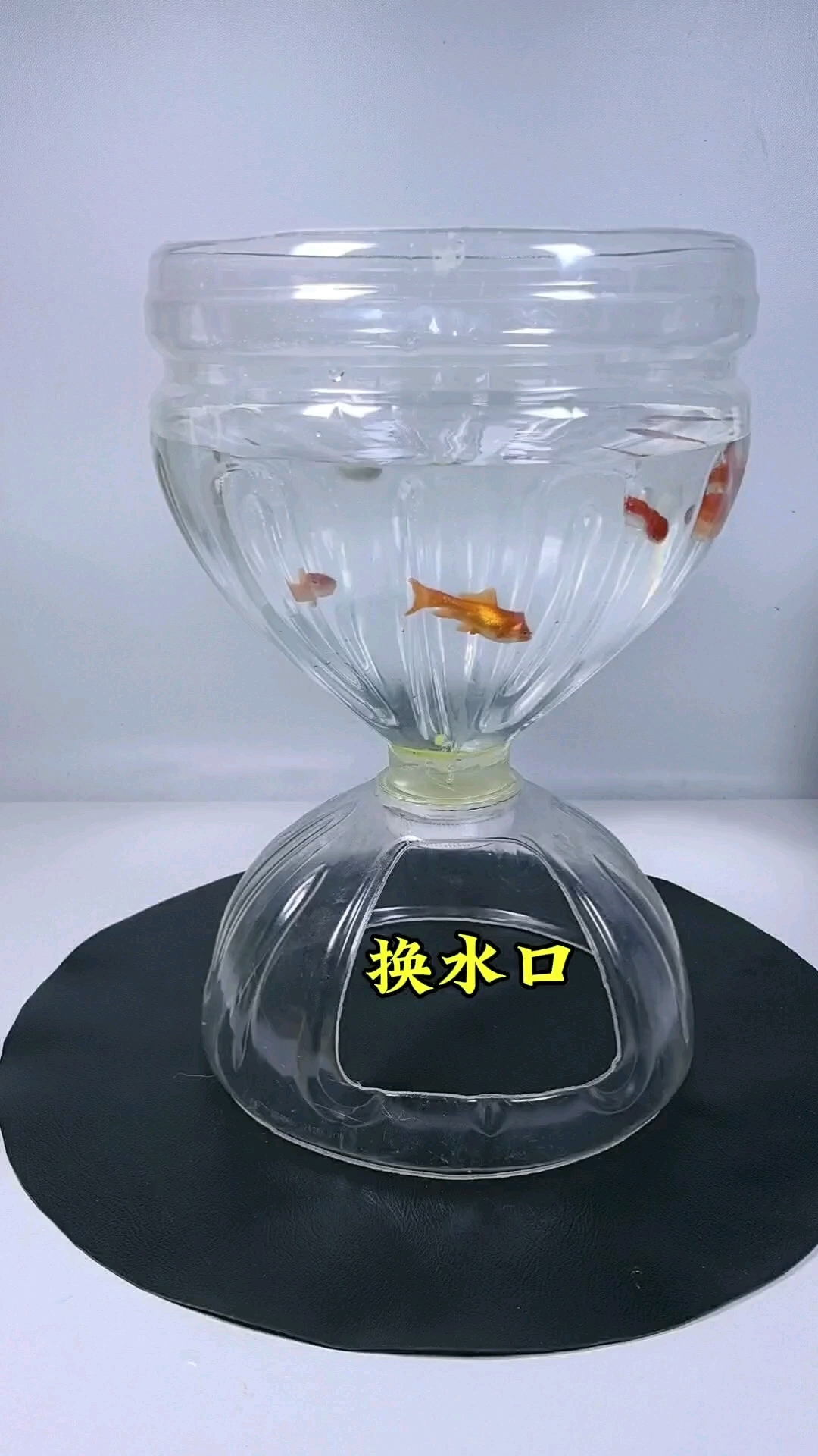 塑料瓶制作鱼缸简单又实用教程在下一个视频