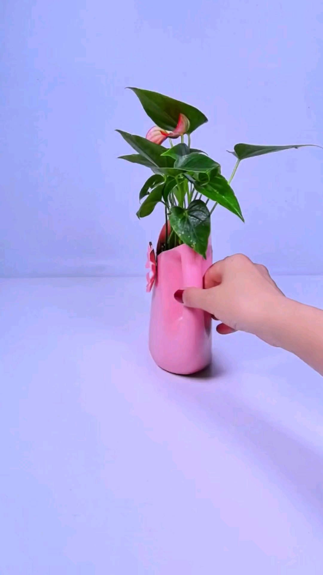 洗衣液瓶别丢垃圾桶做花盆吧#手工制作 #手工 #变废为宝