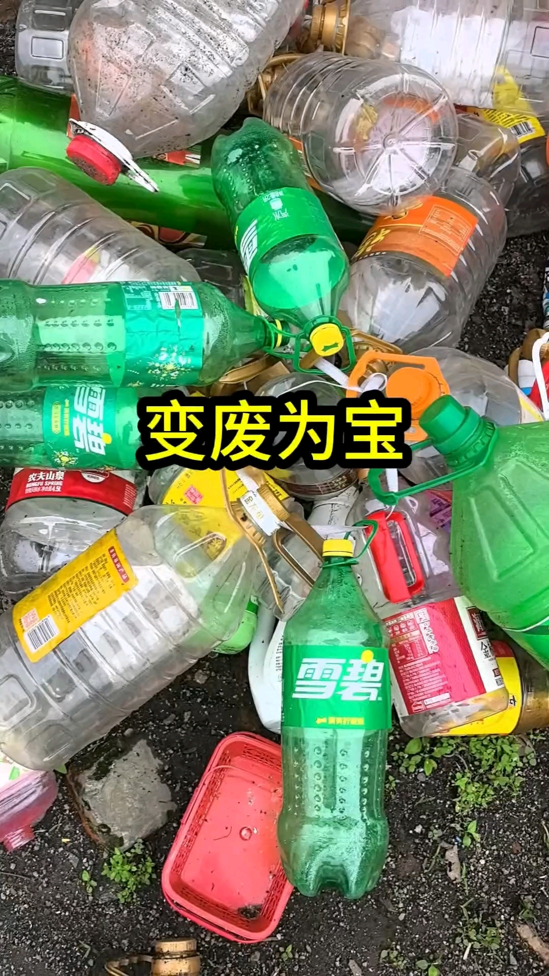 家里的塑料瓶不要扔做成花盆鱼缸都不错#变废为宝# #生活小妙招# #废物利用# 自制花盆