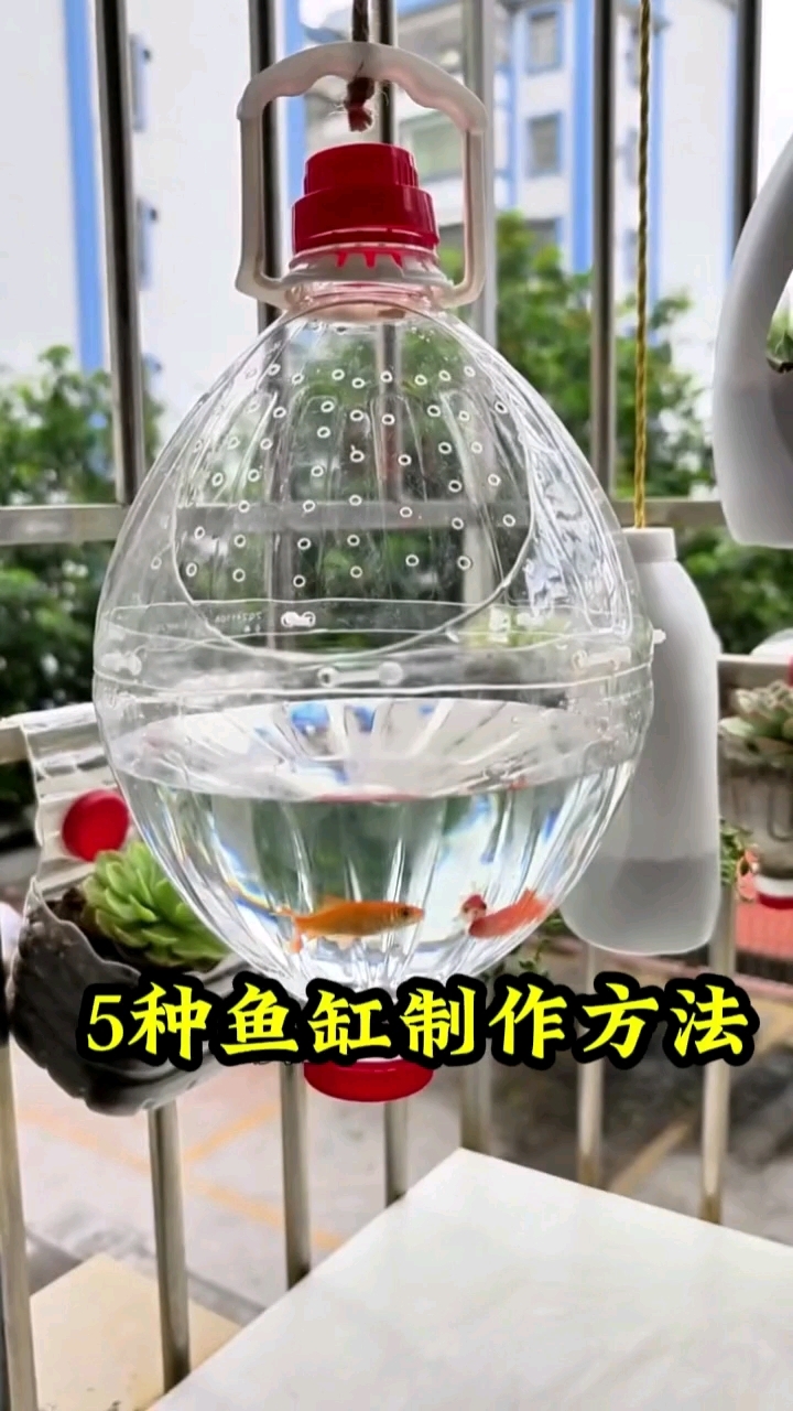 5种鱼缸制作教程塑料瓶变废为宝做鱼缸