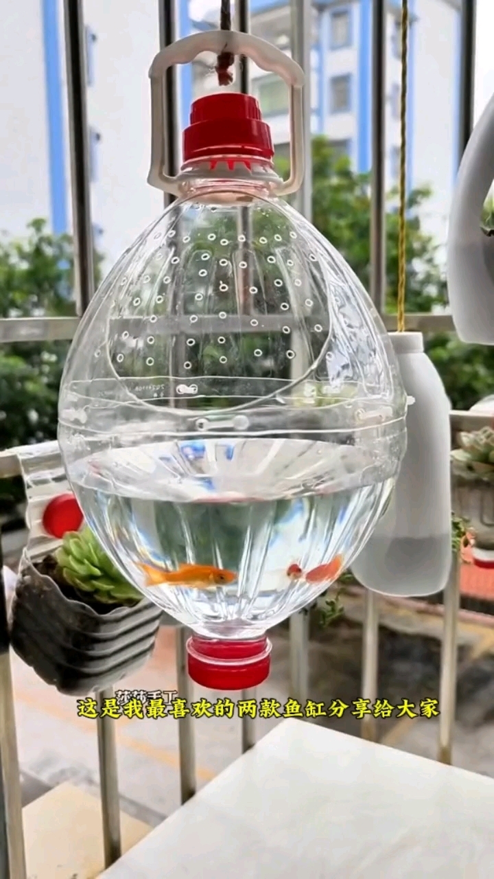 两款塑料空瓶自制的鱼缸是真好用喜欢的姐妹动手做起来#变废为宝