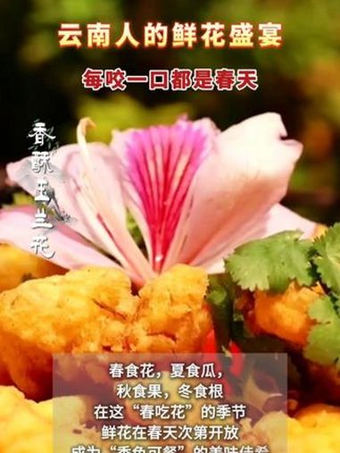 美好不可辜负,快来开启一场鲜花盛宴吧!