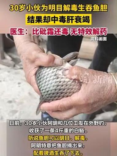 30岁小伙为明目解毒生吞鱼胆,结果却中毒肝衰竭。医生:比砒霜还毒,无特效解药