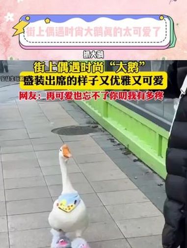 抓大鹅 抖音小游戏 女大学生