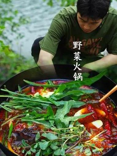一场雨过后大自然又给予了很多美味,今天做的是野菜火锅 新农人计划2024 我的乡村生活 农