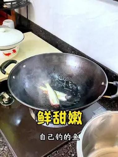 水闸口钓的鱼超级鲜甜 原来自己钓的鱼那么好吃 路亚 路亚白条 岸澜鼓轮 鬼面鱼振出竿 野钓