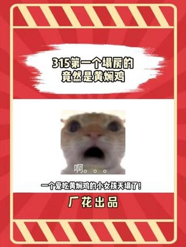 一个爱吃黄焖鸡的小女孩天塌了……黄焖鸡 315 食品安全 外卖 杨铭宇黄焖鸡米饭