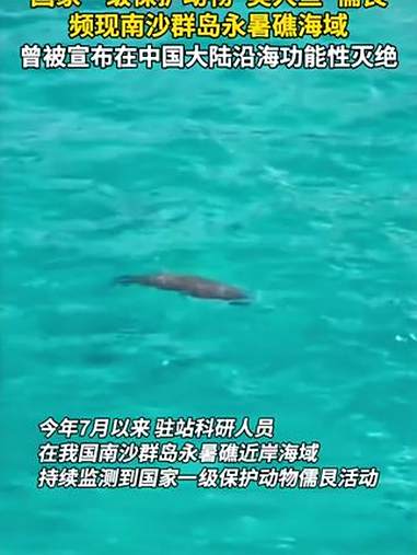 国家一级保护动物“美人鱼”儒艮，频现南沙群岛永暑礁海域，曾被宣布在中国大陆沿海功能性灭绝。