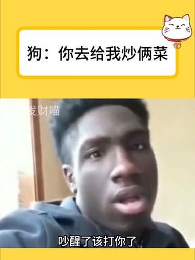 狗:你去给我炒俩菜 铲屎官和他的主人 搞笑 狗狗 娱乐评论大赏 万万没想到