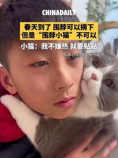 春天到了,围脖可以摘下,但是“围脖小猫”不可以。#趣中国