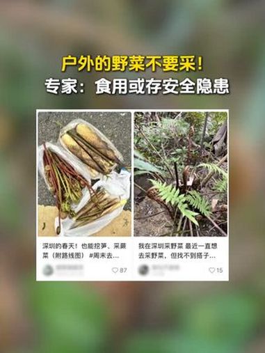 近日,有网友在社交平台分享深圳户外野菜采摘。专家提醒:绿地野菜有专人杀虫、打除草剂;一些野