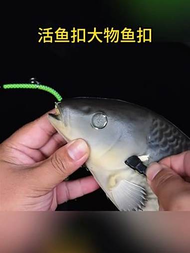 活鱼扣 抽鲢鳙钓大鱼,活鱼扣比鱼护好用太多,鱼不容易翻白,而且也没鱼腥味。活鱼扣 渔具用品