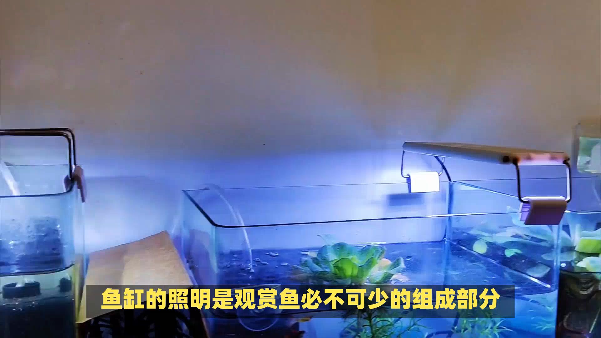 防水灯管选购指南