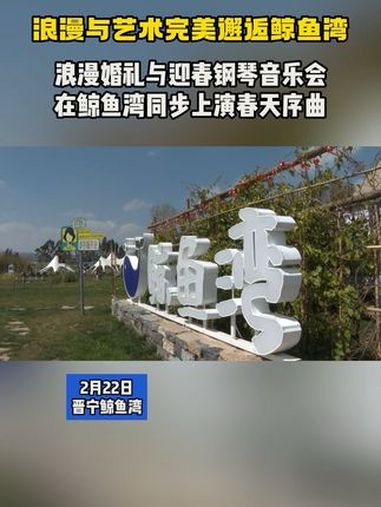 浪漫与艺术完美邂逅鲸鱼湾!有一种叫云南的生活 旅居生活 鲸鱼湾