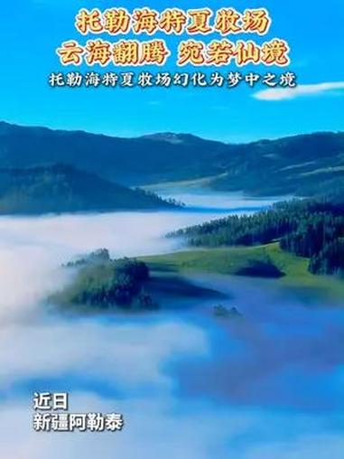 近日,新疆阿勒泰市托勒海特夏牧场在一场雨后,出现如梦如幻的云海景观。新疆阿勒泰 托勒海特 