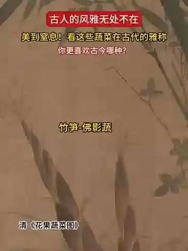 这些蔬菜的雅称也太好听了，随便拉出来一个都十分风雅恬静 蔬菜