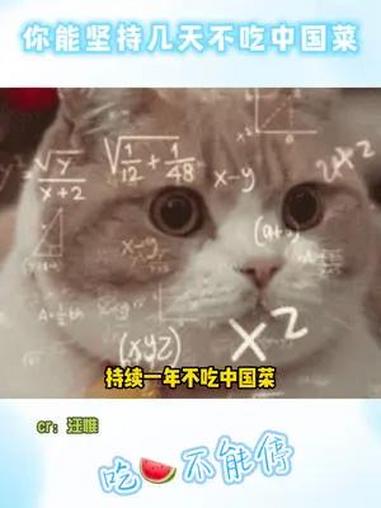 番茄炒蛋永远的神~ 娱乐评论大赏 内容过于真实