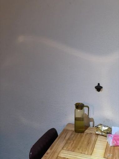 你还真是个人才 奇葩室友 大学生 找工作 暑假工