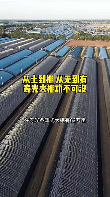 从土到棚,从无到有,寿光大棚的出现功不可没,让北方冬天也能种出新鲜蔬菜!农业种植 三农种植