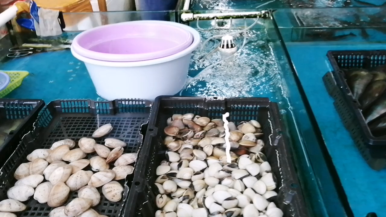 #城市之星打榜赛#   在南宁乐村路的西津生态鱼生馆里吃饭,看到有食客拿了海鲜过来加工,所