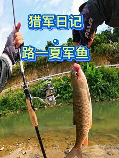 路一夏.路出你的高燃时刻,一键三连!路肯特带着猎军神饵来了!让夏师傅也看看你们的猎军日常 