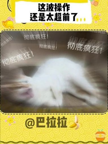 这波真把我当清朝人整了 吃瓜 贴吧 大学生