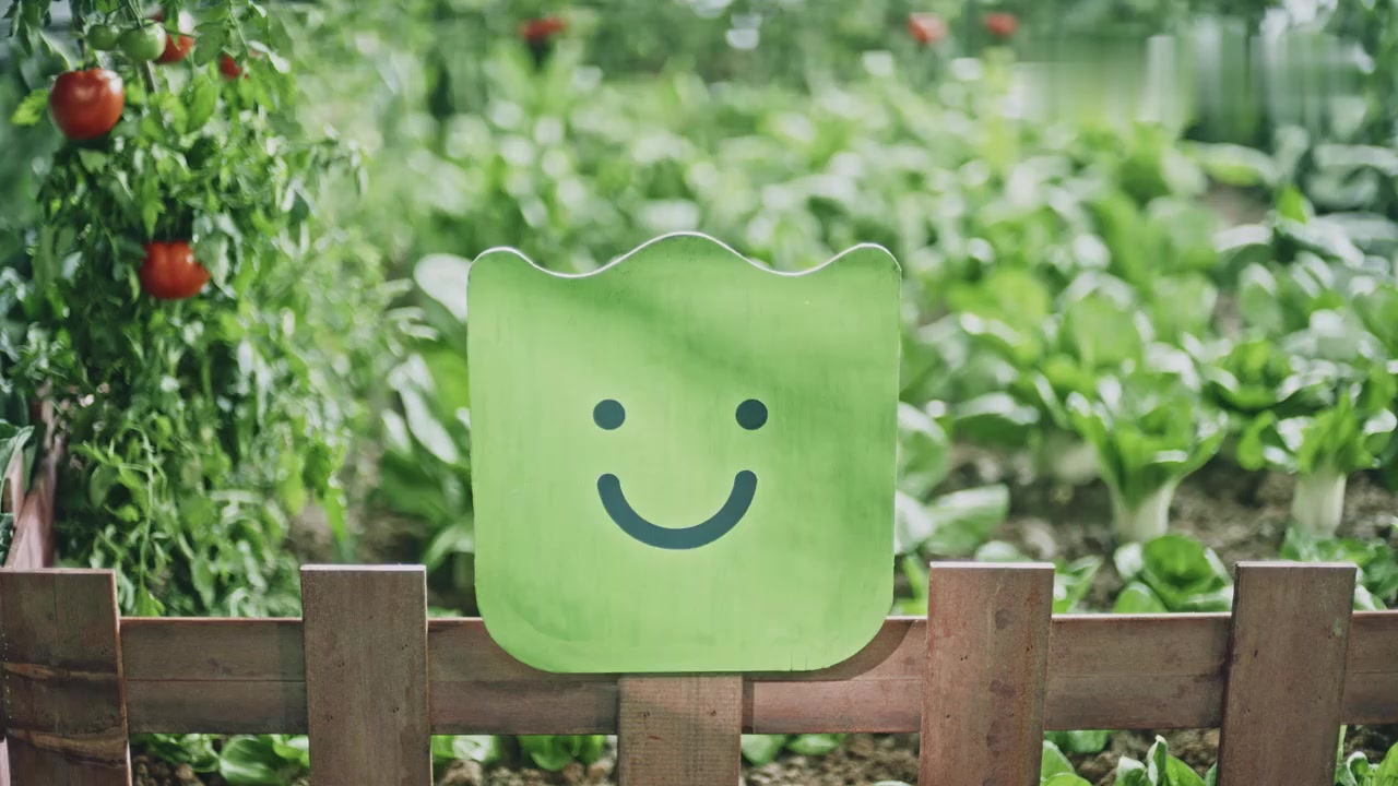 陈一道辣椒炒肉2019新春年会