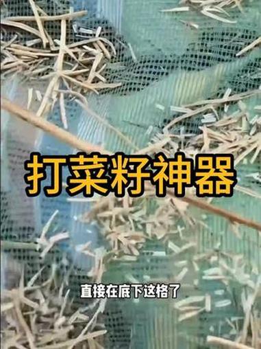 打菜籽神器新发明油菜籽过滤网可折叠鱼干晾晒网打油菜籽收集神器 #打菜籽 #油菜籽 #打菜籽