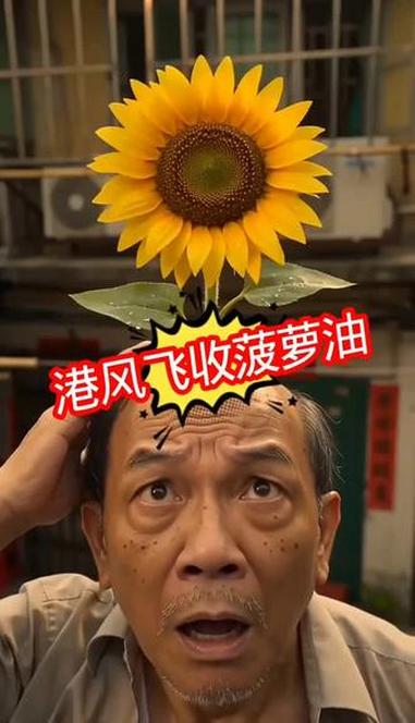 头顶长向日葵是什么操作？#包租公 #菠萝油 #收租 # 头顶长向日葵是什么操作？#包租公 