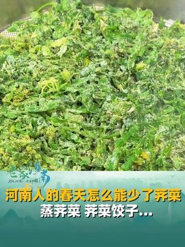 河南人的春天怎么能少了荠菜,蒸荠菜、荠菜饺子、荠菜塌菜馍……每一口都是春天的味道。又到了吃