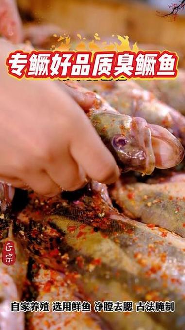 咱家从养殖开始就认真把控品质,只用好鱼,加上古法腌制,所以做出的臭鳜鱼很正宗#臭鳜鱼 #专