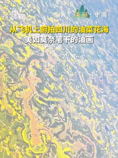 从飞机上俯拍四川的油菜花海,美如莫奈笔下的油画。快看美丽中国