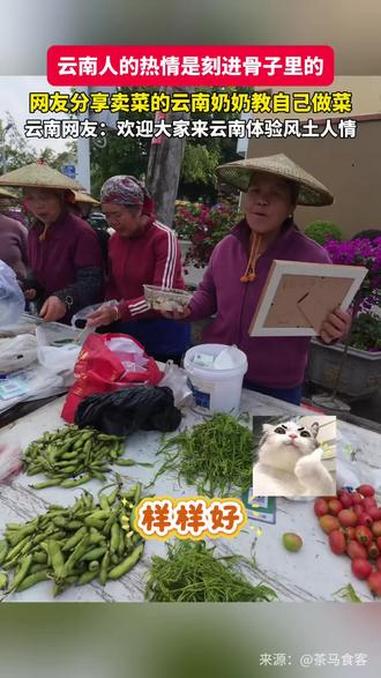云南人的热情是刻进骨子里的 #云南人的热情#云南美食 #云南菜市场#有一种叫云南的生活