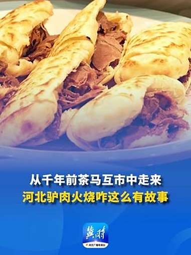 一船明月过沧州丨从千年前茶马互市中走来 河北驴肉火烧咋这么有故事？一船明月过沧州 驴肉火烧