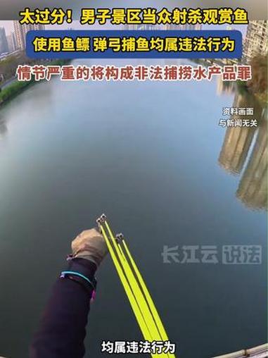 男子在景区当众射鱼惹众怒，使用鱼镖弹弓捕鱼属违法！