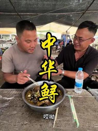 一场大雨抓了很多鱼,路边摊清炖中华鲟,价格不贵,经济还实惠。美食家的朋友圈 省饭课代表集结