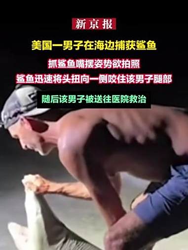 美国一男子在海边捕获鲨鱼 抓鲨鱼嘴摆姿势欲拍照 鲨鱼迅速将头扭向一侧咬住该男子腿部 随后该