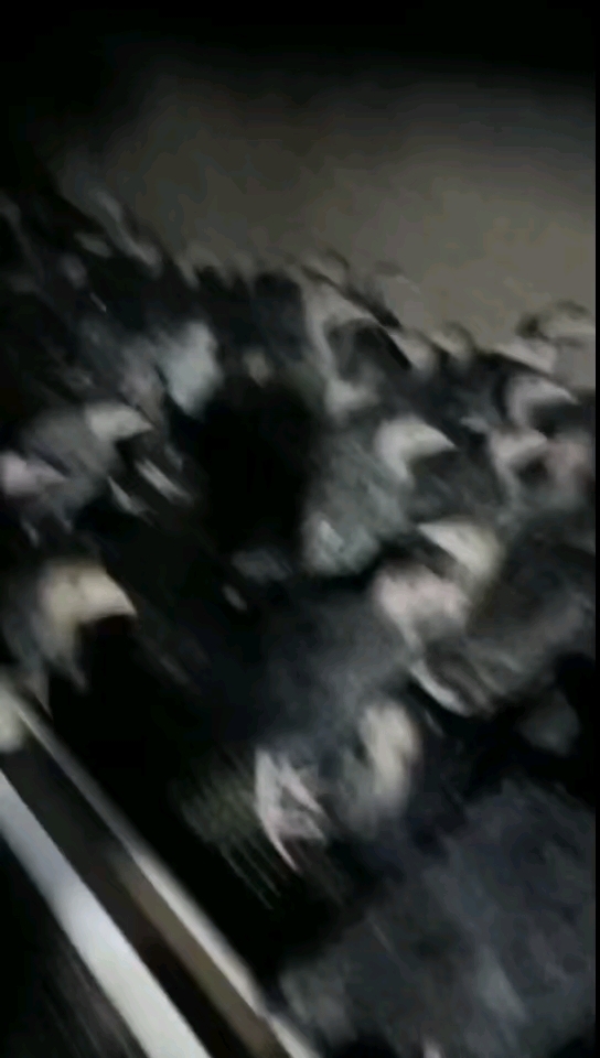 青铜火鸡