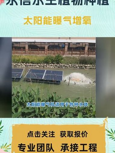曝气机制造 太阳能曝气增氧 太阳能曝气机公司 太阳能浮水喷泉式曝气机 太阳能曝气增氧机 潜