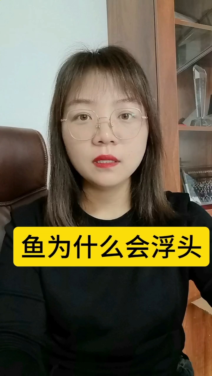 鱼为什么浮头,大家知道吗