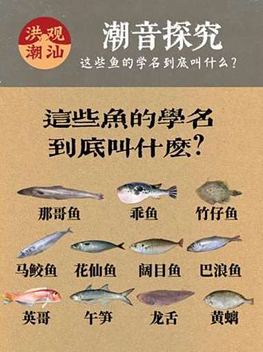 潮音探究(十五)潮汕话里的“那哥鱼”、“迪仔鱼”究竟是什么鱼?一口气带你认识这些鱼的学名都