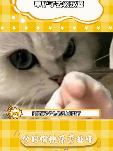 这个礼拜六我得去看看大家都拿什么铲子去~ 麦当劳 铲子 板烧鸡腿堡