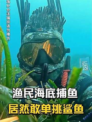 渔民海底捕鱼,居然敢单挑鲨鱼 海底捕鱼 渔民赶海 赶海捕鱼 赶海 渔民捕鱼