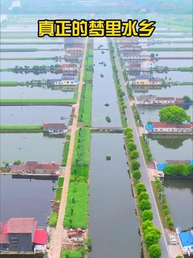 现实版的梦里水乡，位于湖北江汉平原，鱼米之乡，住这里也太舒服了。#旅行推荐官 #村庄 #鱼