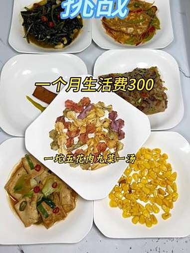 上热门 一个月生活费300,今天买了一坨五花肉简单做了9菜一汤,全是荤菜,幸福生活努力拼搏