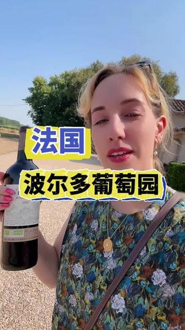 法国波尔多葡萄园 法国波尔多葡萄园#葡萄酒 #红酒 #法国人 #干红 #波尔多