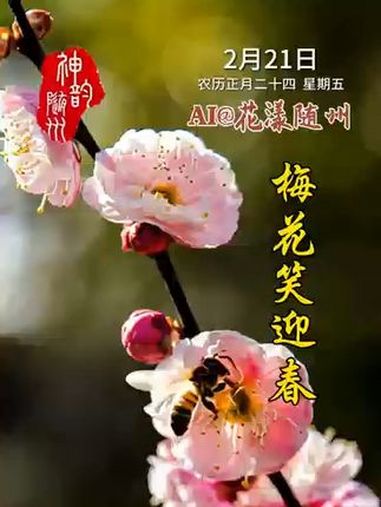 AI@花漾随州 东风吻过枝头,随州的梅花悄然开了!赏花地点:炎帝景区、文化公园、白云公园 