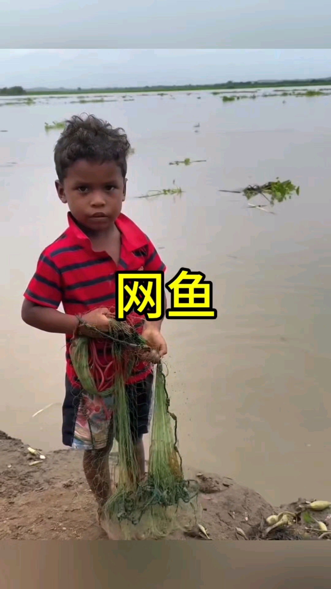 厉害啊,这样也能网到鱼